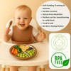 Stainless Steel Baby Plate Set 4 Pieces Baby Suction Plate, Removable Suction, Silicone Bib, Spoon & Fork  BPA-Free