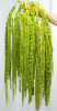 Jtoder 10Pcs Dried Amaranthus Hanging Flowers, Natural Preserved Flower for Wedding Arch, Exhibition, Wall Hanging