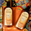 AGADIR Argan Oil Daily Moisturizing Shampoo, 33.8 Fl Oz