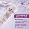 Aphogee Replenishing Repair Shampoo For Dry Damaged Hair 16 Fl Oz