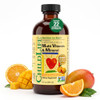 Childlife Essentials Kids Multivitamin And Mineral Mango 8 Fl Oz 1 Pack