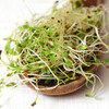 Handy Pantry Organic Alfalfa Seeds For Sprouting 1 Lb