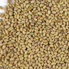 Handy Pantry Organic Alfalfa Seeds For Sprouting 1 Lb