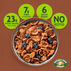 Nature S Path Organic Heritage Flakes Cereal 32 Oz Pack Of 6