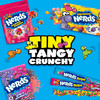 Nerds Rope Rainbow Candy Crunchy And Gummy 0.92 Oz 24 Pk