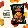 Terra Vegetable Chips With Sea Salt 1 Oz Pack Of 24
