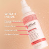 Mychelle Dermaceuticals Fruit Enzyme Hydrating Mist