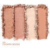 Covergirl Eye Enhancers 4 Kit Eyeshadow Silky Sheer Formula Double Ended Applicator 100 Percent Cruelty Free