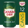 Canada Dry Ginger Ale Soda 12 Oz Cans 12 Count