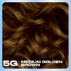 Clairol Nice N Easy Permanent Hair Dye 5G Medium Golden Brown 1 Pack
