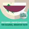 Plax Advanced Prebrushing Dental Rinse Soft Mint 24 Ounce