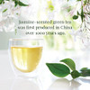 The Republic Of Tea Organic Jasmine Green Tea Low Caffeine 50 Count