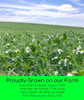 Palouse Brand Certified Glyphosate Residue Free Green Split Peas 5 Lb Non Gmo Kosher