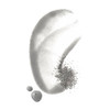Well People Plant Powderfoliant Renewing Charcoal Exfoliating Powder
