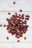 Amish Country Popcorn 6 Lbs Bag Red Popcorn Kernels Old Fashioned Non Gmo And Gluten Free Red 6 Lbs Bag