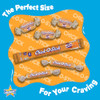 Atkinson S Chick O Stick Nuggets Pb Coconut Crunchy Candy 2 Lb Bag