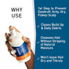 Frederick Benjamin Shampoo With Natural Oils Cleanses And Hydrates Dry Scalp And Hair 12Oz