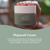 Emerginc Scientific Organics Phytocell Anti Aging Cream Facial Moisturizer With Plant Stem Cells For Radiant Complexion And Skin Protection