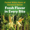 Del Monte Fresh Cut Golden Sweet Whole Kernel Corn Canned Vegetables 12 Pack 8.75 Oz Can