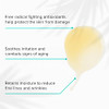 Clarityrx Take Care Daily Antioxidant Red Tea Face Serum Natural Plant Based Hydrating And Anti Aging Facial Treatment For Environmental
