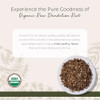 Starwest Botanicals Organic Raw Dandelion Root Cut And Sifted 4 Oz Pouch