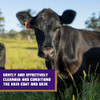 Weaver Livestock Mild Shampoo Gentle Effective Coconut Based Hide Hair And Wool Shampoo Daily Use Cattle Show Supplies
