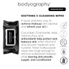 Hydrating Makeup Remover Wipes Gentle Facial Cleansing Towelettes With Aloe Chamomile And Vitamin E Removes Waterproof Makeup 50 Count