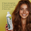 Kismera Regenerating Shampoo For Unisex 16.89 Ounce