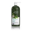 Avalon Organics Scalp Treatment Tea Tree Shampoo Encourages Scalp Well Being And Leaves Hair Soft 32 Fluid Ounces