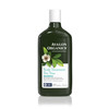 Avalon Organics Scalp Treatment Tea Tree Shampoo Encourages Scalp Well Being And Leaves Hair Soft 11 Fluid Ounces