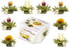 Creano Tea Flowers In Cup Size Blooming Tea 8 Flowering Tea In 4 Different Varieties White Tea