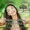 Organic Keratin Treatment Salt And Sulfate Free Shampoo 32Oz By Kerarganic
