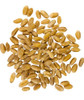 Palouse Brand Certified Glyphosate Free Hard White Wheat Berries 5 Lbs