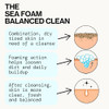 Pacifica Beauty Sea Foam Face Wash Daily Gentle Foaming Cleanser With Coconut Water Plus Sea Algae Removes Makeup For Combination And Oily