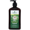 Dermagic Peppermint And Tea Tree Oil Shampoo 18 Fl Oz