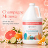 Ginger Lily Farms Botanicals Conditioner 128Oz Champagne Mimosa