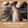 Dhs Zinc Shampoo 16 Oz Pack Of 2 Clarifying Scalp Care