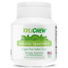 Xylichew Xylitol Gum Sugar Free Chewing Gum Spearmint 60 Count