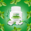 Xylichew Xylitol Gum Sugar Free Chewing Gum Spearmint 60 Count