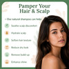 Wild Naturals Eczema And Psoriasis Shampoo Anti Dandruff Relief For Dry Itchy Scalp Hypoallergenic Fragrance Free Formula For Sensitive