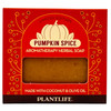 Plantlife Pumpkin Spice Natural Bar Soap Handcrafted Vegan 4 Oz