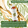 Plant Guru Olive Oil Pomace 16 Fl. Oz. 100 Percent Pure Natural Carrier Moisturizer For Skin Body Face And Hair Growth.