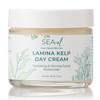 Sea El Lamina Sea Kelp Day Cream Hydrating And Firming Anti Aging Glow Natural And Organic Dry Skin Care Daily Face Moisturizer For Women