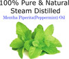Peppermint Essential Oil 4 Oz. With Huge Glass Bottle Glass Dropper And Sprayer. Detailed User S Guide E Book.