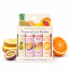 Island Soap And Candle Works Tropical Lip Balm Stick Sample Pack 4 Pack Assorted Flavors Moisturizing Lip Balm Sticks Smooth Nourishing