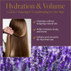 Wen By Chaz Dean Lavender Cleansing Conditioner 16 Fl. Oz. Packaging May Vary