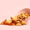 Elan Organic Raw Brazil Nuts 6.5 Oz Whole Nuts No Shell Non Gmo Vegan Gluten Free Kosher Healthy Snacks