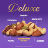 Planters Deluxe Mixed Nuts Plant Based Protein 15.25 Oz 1 Ct