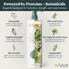 Reviv3 Procare Prime Moisture Conditioner Volumizing 25.4Oz Color Safe