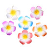 Calcifer 30Pcs 1.97 Hawaii Hawaiian Plumeria Flower Clips Bridal Wedding Party Beach Hair Clips 5Cm 1.97Inches